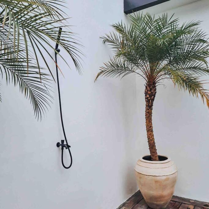 Casa Di Pererenan Villa Canggu Exteriör bild